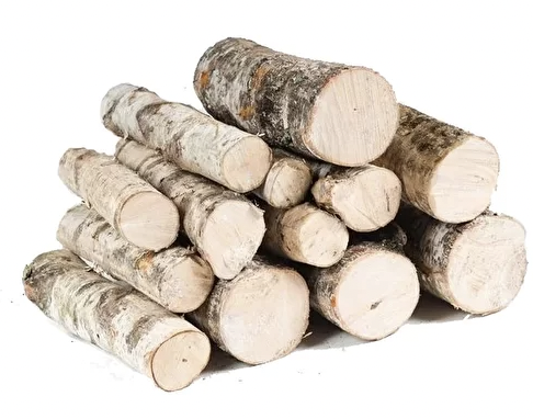 Береза + Осина